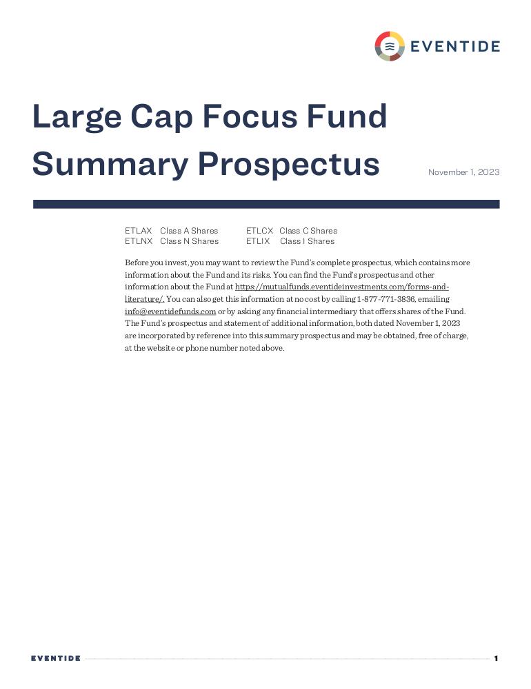 Summary Prospectus (11/1/2024)